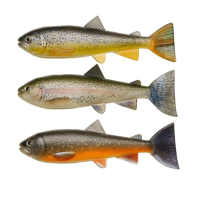 Pulz Bait trout Skinz Ersatzkörper für 15cm und...