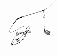 Zeck Dead Bait Fedger Boom Kit