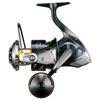 Shimano Stella SW D 8000HG