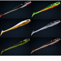 Probaits Holi Shad 5" /125mm 6 Stück