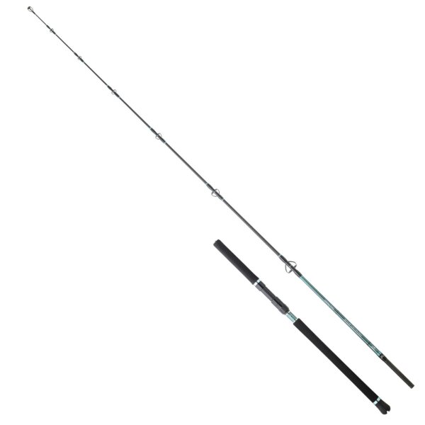 Hearty Rise Monster Game Tuna Hunter 150lbs 2.38m 80-180g