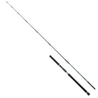 Hearty Rise Monster Game Tuna Hunter 150lbs 2.38m 80-180g