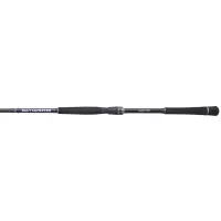 Hearty Rise Salt Monster SW Spin 2,20m 10-40g