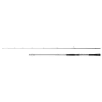 Hearty Rise Salt Monster SW Spin 2,50m 9-35g 2-teilig