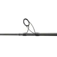 Hearty Rise Salt Monster SW Spin 2,50m 9-35g 2-teilig