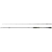 Hearty Rise Dark Soul Spin 2,30m 20-90g 2-teilig