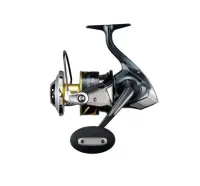 Shimano 25 Stella SW D 14000 XG