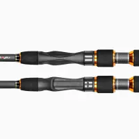 Lieblingsköder UltraBoost Rute Bigbait 2,70m (40-100g)