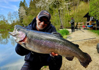 Spro Trout Master Master Worm 45mm Garlic 10 Stück