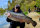 Spro Trout Master Master Worm 45mm Garlic 10 Stück