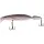 FTM JustPro Nightveit Jointed 120 14g Natural Roach