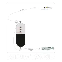 Dega Heilbuttpose 300-500g