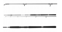 Daiwa BG Offshore Pilk 2,40m 50-165g