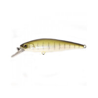 Illex / Jackall Squad Minnow 65SP Vairon