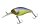 Illex Diving Cherry 48 Muddy Secret Tiger
