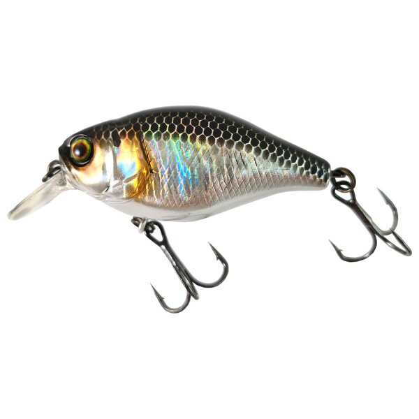 Illex Cherry 10CC HL Silver & Black