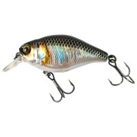 Illex Cherry 10CC HL Silver & Black