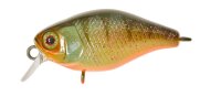Illex Diving Chubby 38 Aggressive Perch