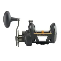Penn Squal II SQLII40SD Rechtshand