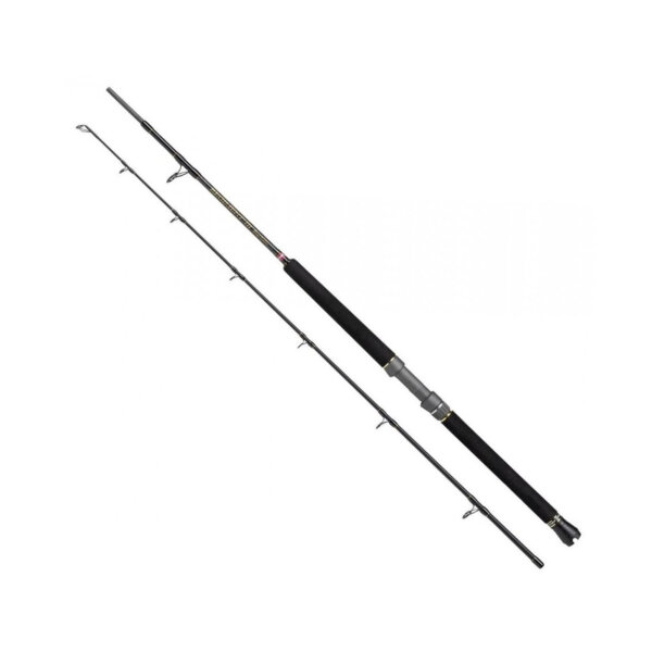 Penn Regiment III Boat 2,10m / 20-30lb 1544352