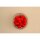 Salmon Egg Red