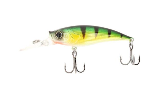 Yellow Perch