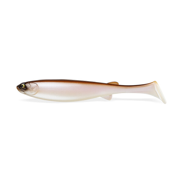 Spark Shad