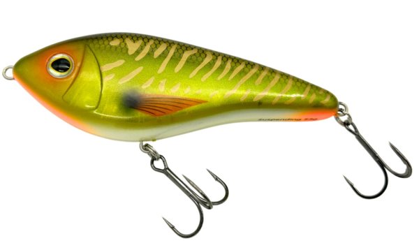 ACV UV Pike UV