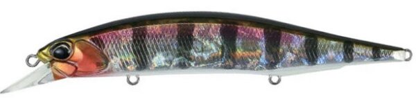 Prism Gill