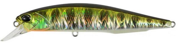 Kohoku Natural Gill