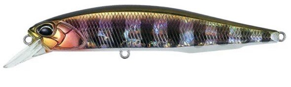 Prism Gill