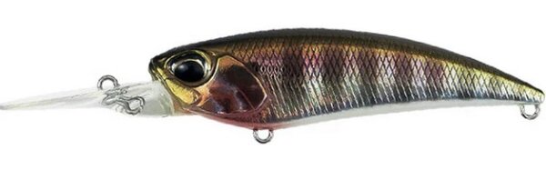 Prism Gill