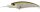 Ghost Minnow