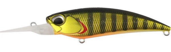 Gold Perch