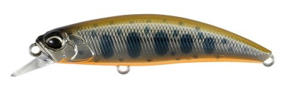 Brown Back Yamame OB