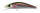 Rainbow Trout
