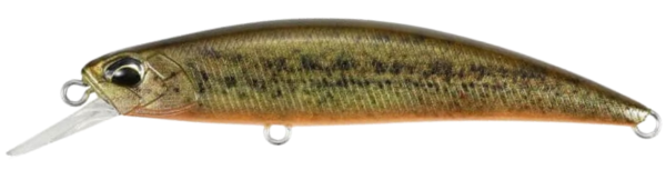 RP Loach