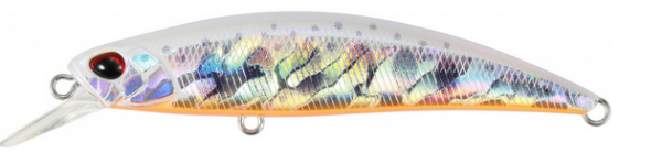 Ivory Yamame OB