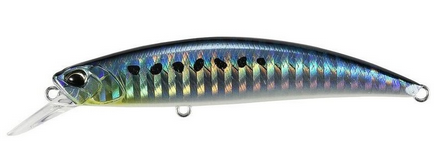 SW Sardine