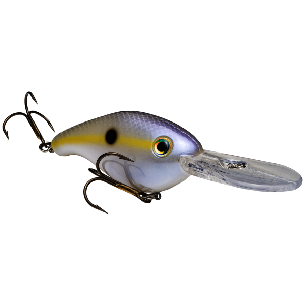 Chartreuse Shad