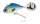 Baitfish