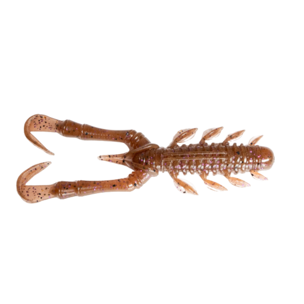 Brown Cinnaon Purple #37