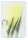 Fluo Chartreuse Reflexfolie