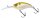 Smelt