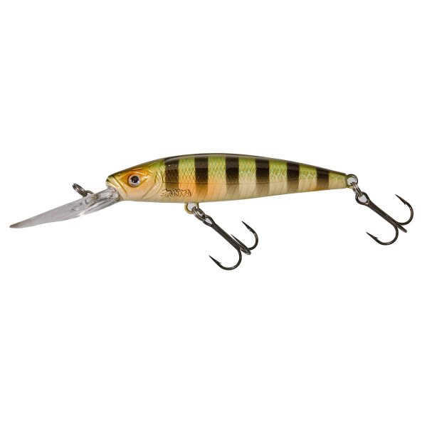 Wild Perch