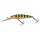 Wild Perch