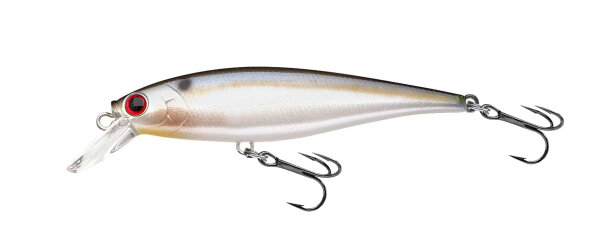 Pearl Threadfin Shad