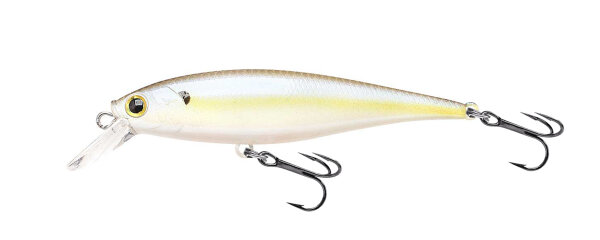 Chartreuse Shad