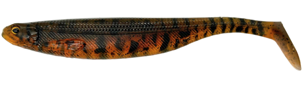 Dark Goby by Toon van Ham