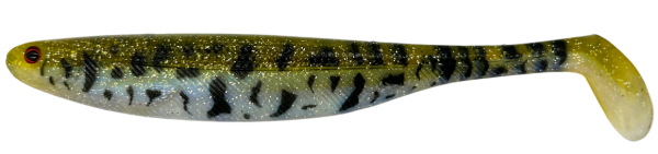 Clear Goby by Toon Van Ham